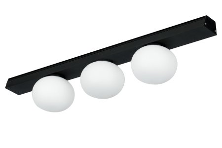 VON GLOBE Module