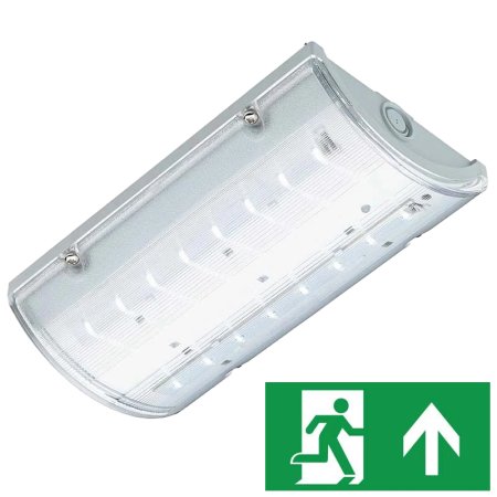 Brilas IP65 LED Bulkhead/Exit Sign