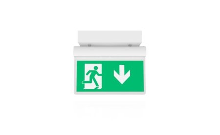 EXD BESA Ceiling Mounted Architectural Ceiling Mounted LED BESA exit sign