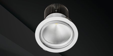 WW Directional Decorative Downlights