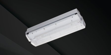 Emergency Bulkheads IP65 High Lumen